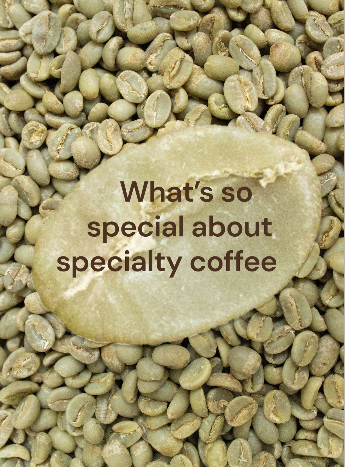 What’s So Special About Specialty Coffee
